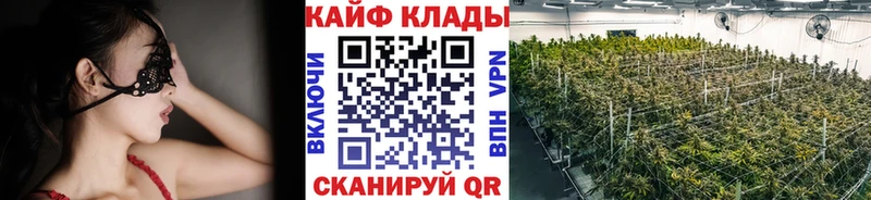 Цена Богородицк гидра онион Амфетамин Псилоцибиновые грибы Гашиш Канабис