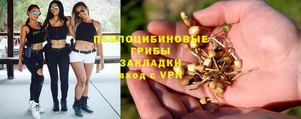 МДПВ Богданович