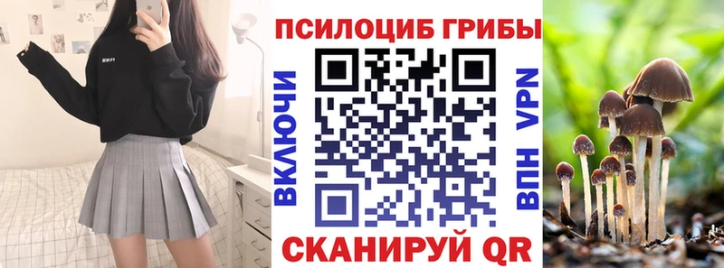 Галлюциногенные грибы GOLDEN TEACHER hydra ТОР Богородицк