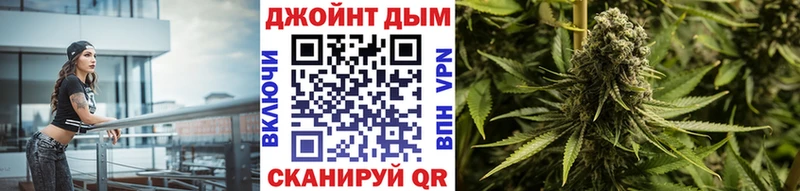 Конопля сатива  Богородицк 